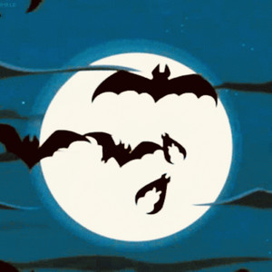 bats under the bridge by ornaut, Oeth, Herbalism