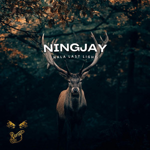 Nala Last Light - Ningjay