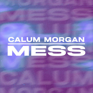 Mess by Calum Morgan