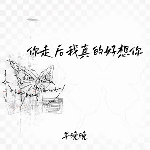 早晚晚 - 你走后我真的好想你