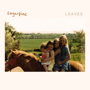 LEAVES by sugarpine