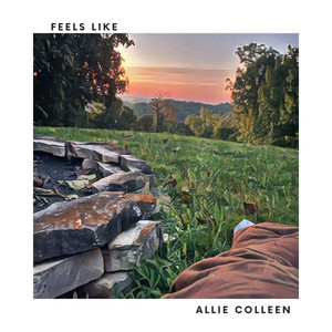 Feels Like by Allie Colleen