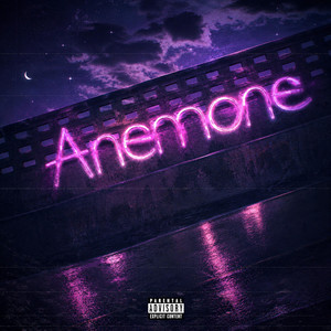 Anemone by Kaet