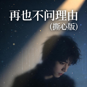 再也不问理由 (撕心版) by 小沐乐