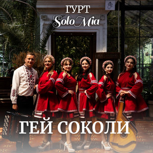 Обкладинка: Гей соколи