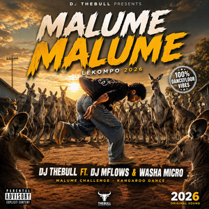 MALUME MALUME_ - Lekompo Revist by DjTheBull, Dj M Flows, washa micro