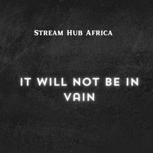 It Will Not Be In Vain by Stream Hub Africa