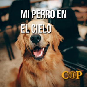 Mi Perro en el Cielo