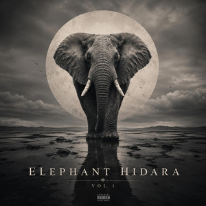 Elephant Hidara, Vol. 1 by Sophie Rosso