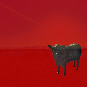 Black Sheep by Snack Munson