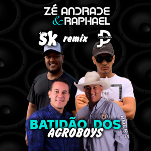 Batidão dos Agroboys (Remix)