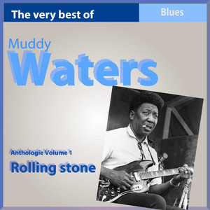 ROLLNG LP CD THE STONES 洋楽 / MUDDY WATERS
