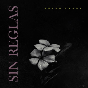 Sin Reglas by Sulem Ovare