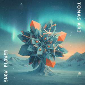 Snow Flower by Tomas Ari