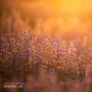 you can tell me by Beautiful Life