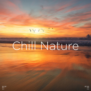 Chill & Nature Relax [DVD] With その他