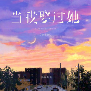 当我娶过她 - 节奏版 by 莫叫姐姐