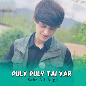 Sabz Ali Bugti - Puly Puly tai yar