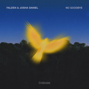 Falden — No Goodbye (2026)