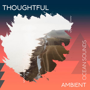 zZz Thoughtful Ambient Ocean Sounds zZz album