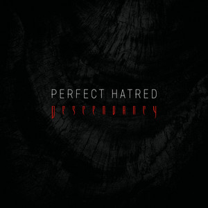 Perfect Hatred