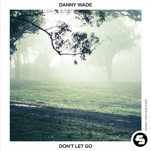 Danny Wade — Don't Let Go (2026)