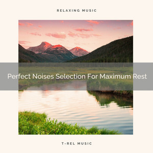 Perfect Noises Selection For Maximum Rest album