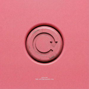 Portada de The System Enjoys You