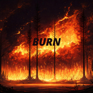 BURN by Paulo Pacini