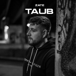 Taub (feat. Magestick Records)
