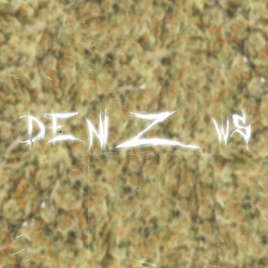 Green (DZWS x Vale) by Romanian Snippets