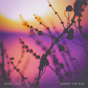 Under The Sun by Ansel Leo