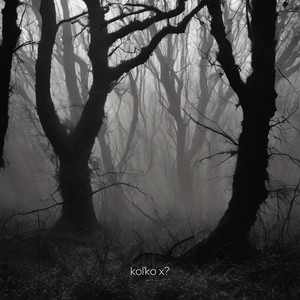 rixhard - Koľko x ?