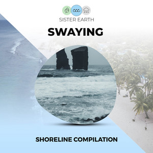 Swaying Shoreline Compilation album