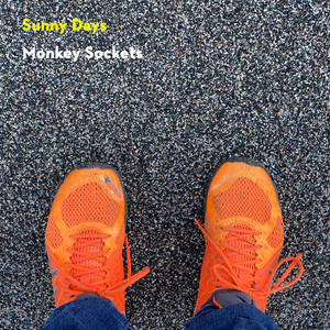 Sunny Days by Monkey Sockets