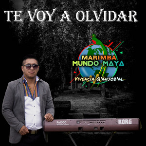 Marimba Mundo Maya - Te Voy a Olvidar