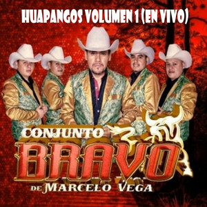 conjunto bravo de marcelo vega - Huapangos, Vol. 1 (En Vivo)