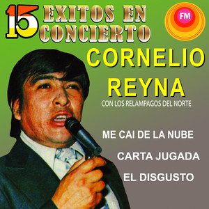 15 Éxitos en Concierto album