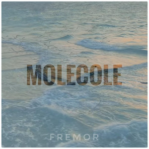 MOLECOLE by FREMOR