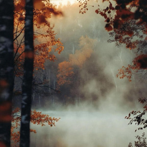 Cold rain by Chris Timmer