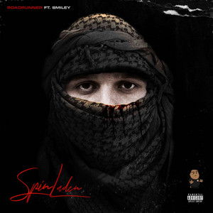 Portada de Spinladen