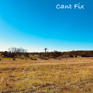 Cant Fix