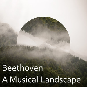 Beethoven: A Musical Landscape album