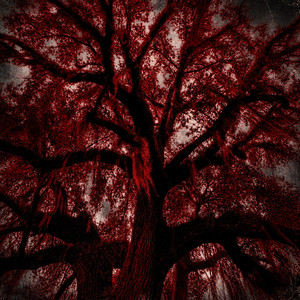 SHAME (I CAN'T CONTROL MY MIND) by Trey Warner