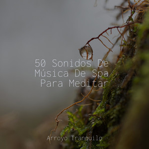 50 Sonidos De Música De Spa Para Meditar