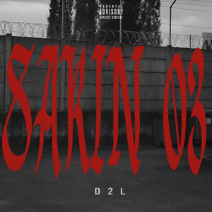 D2L - SAKIN 03