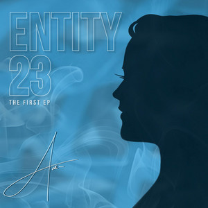 Entity 23