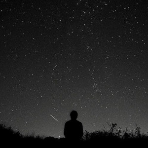 Starlight and Soil by Ron Broadie