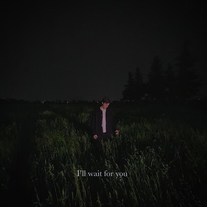 i'll wait for you