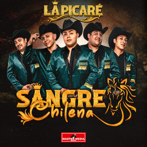 SANGRE CHILENA - La Picaré